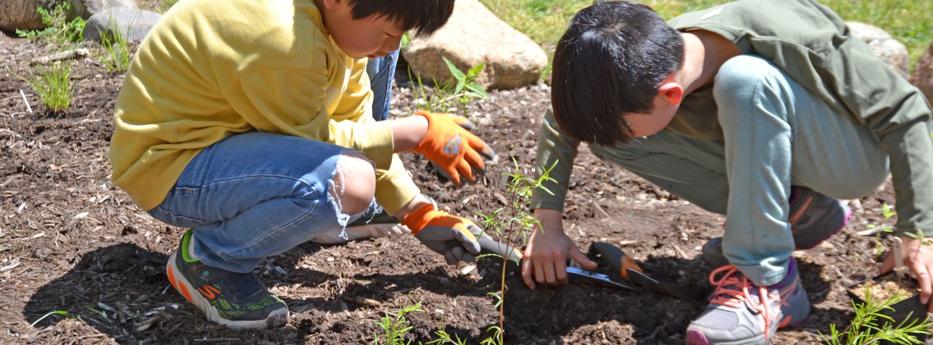 hawes pollinator garden