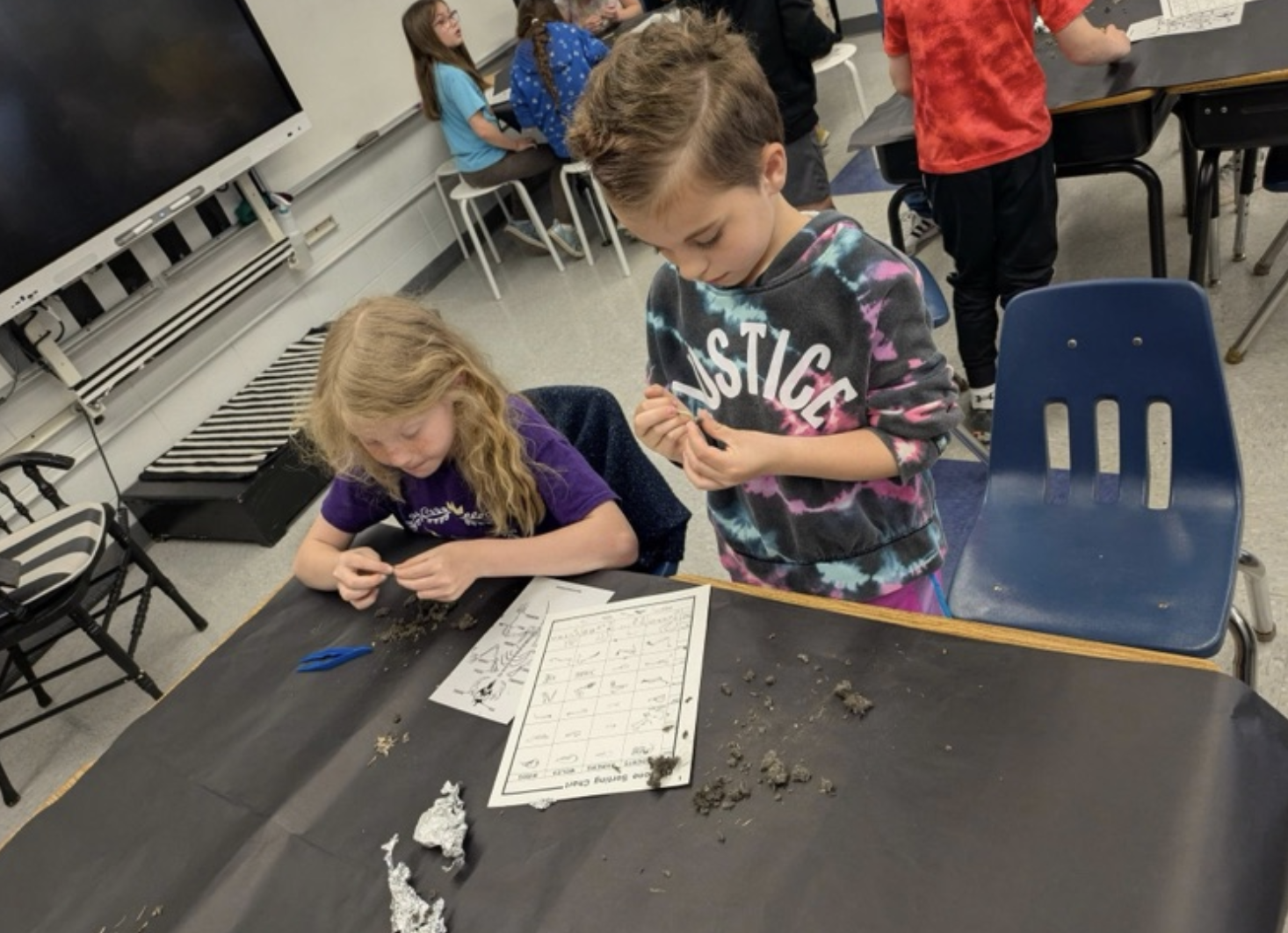owl pellets