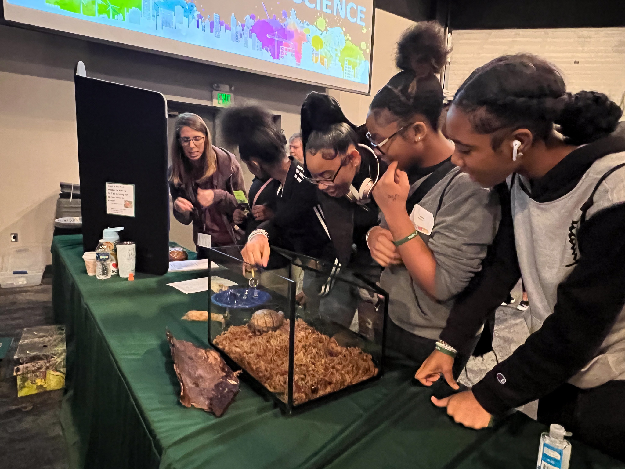 students looking at a turtle