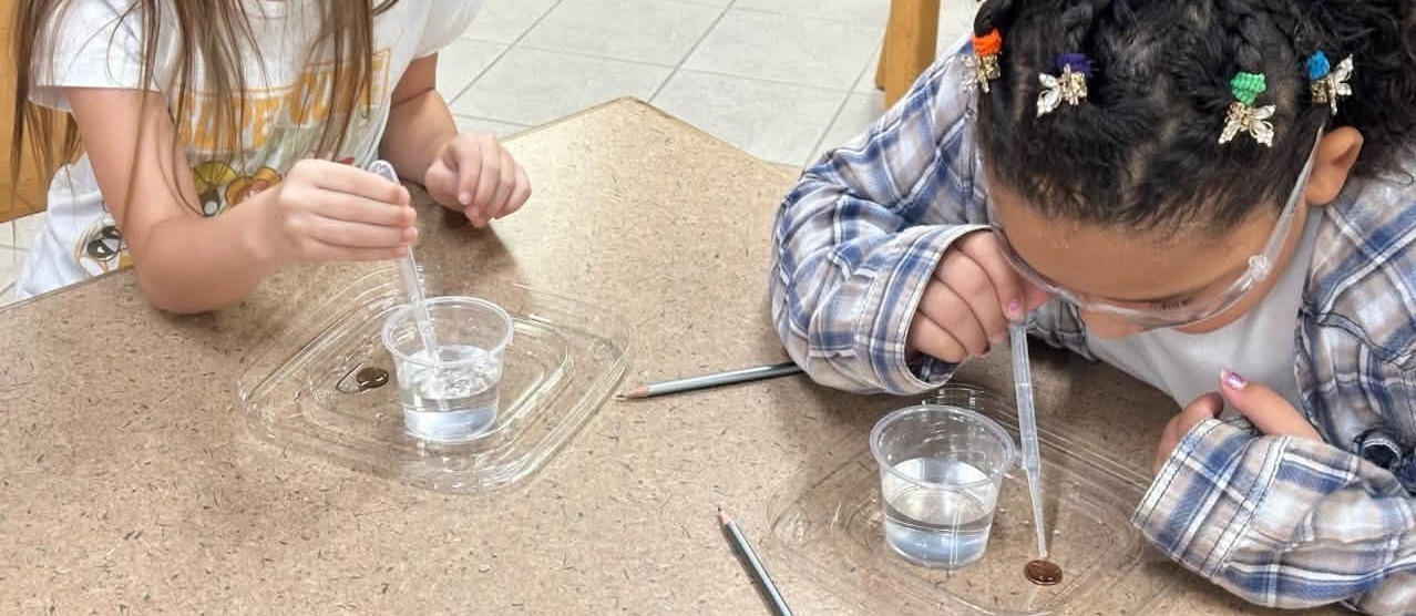 Students completing a science experiment.