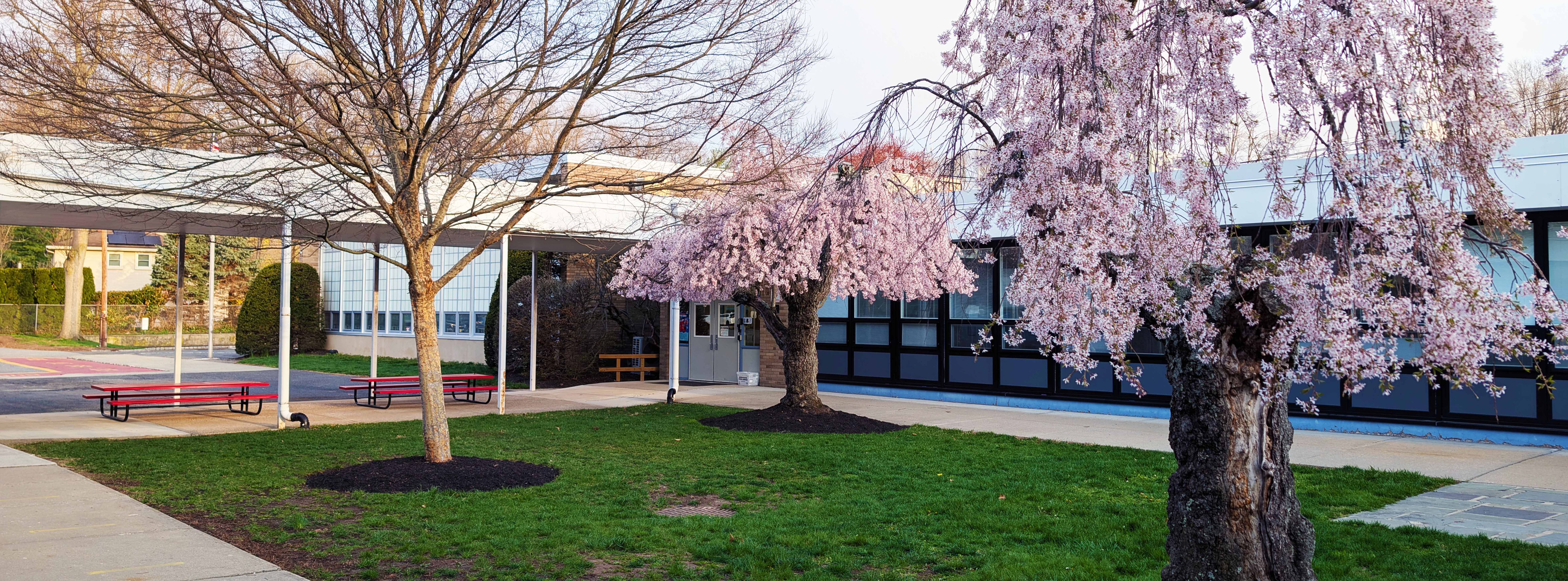 Glen School Spring 2026