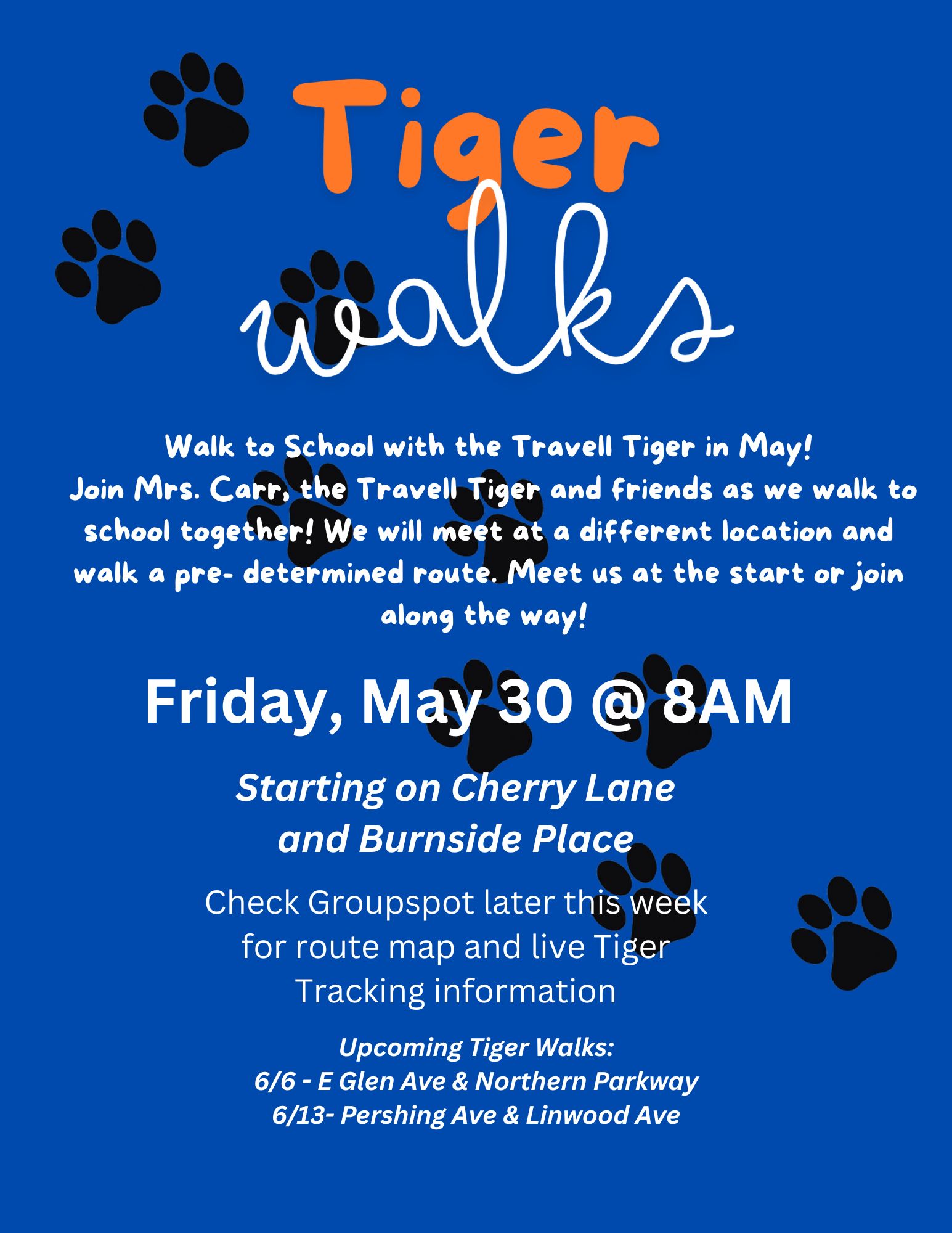 Tiger Walks