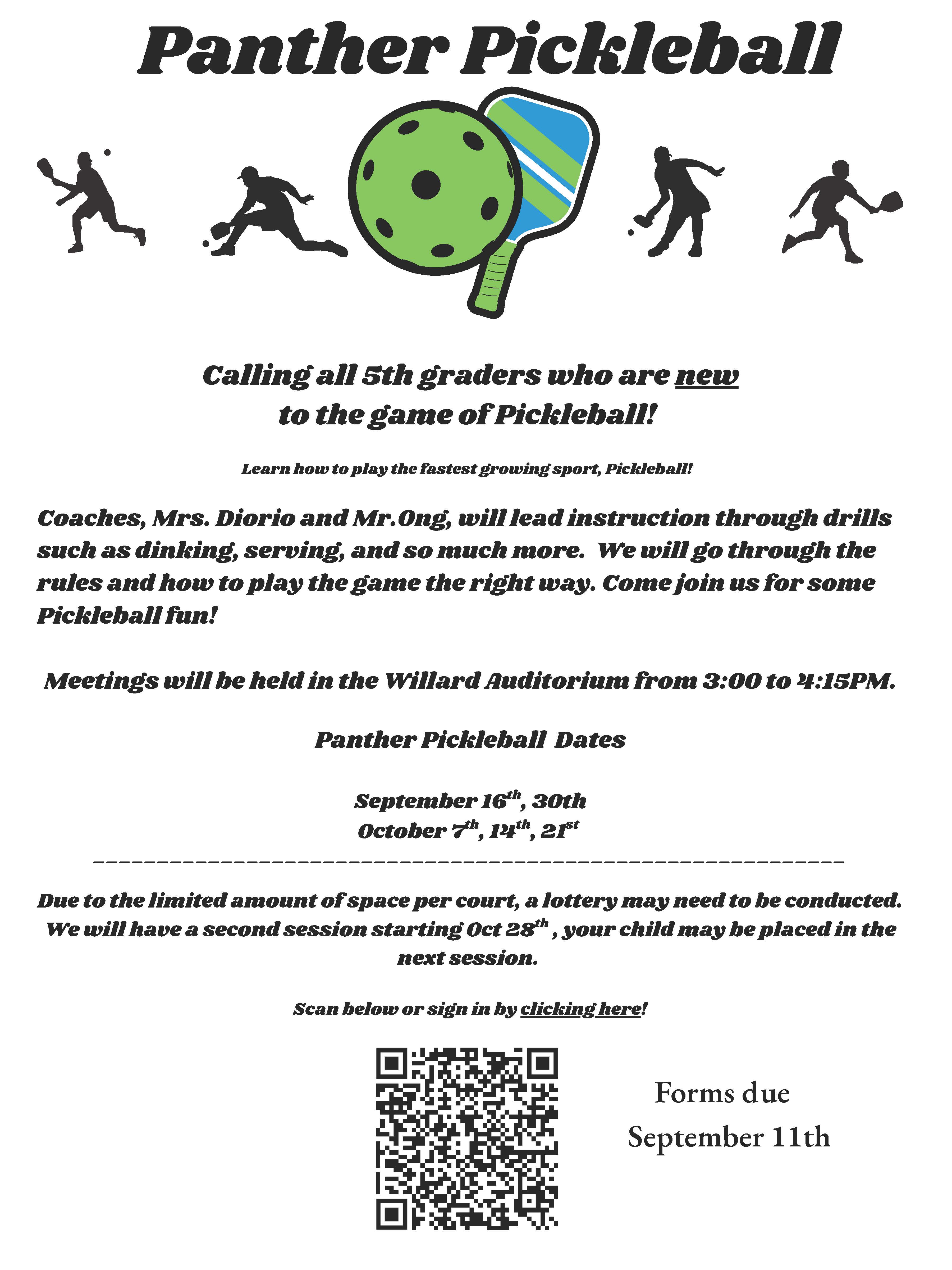 Pickleball flyer
