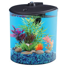 fishtank