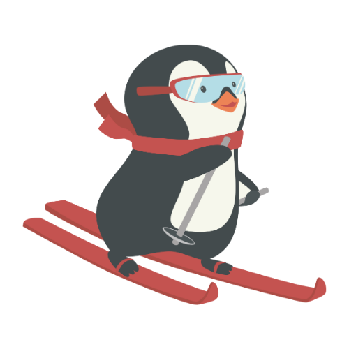 ski