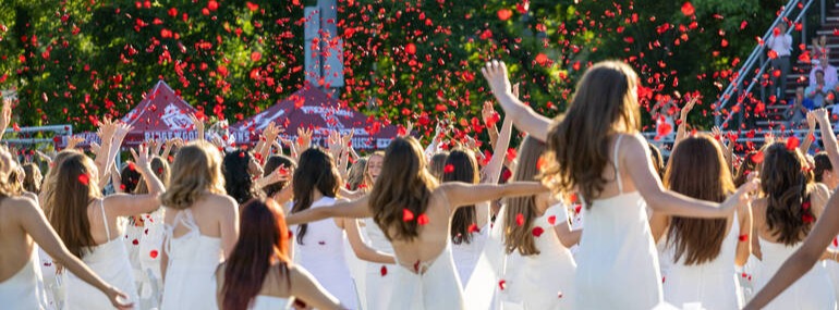 Graduation Roses 2026