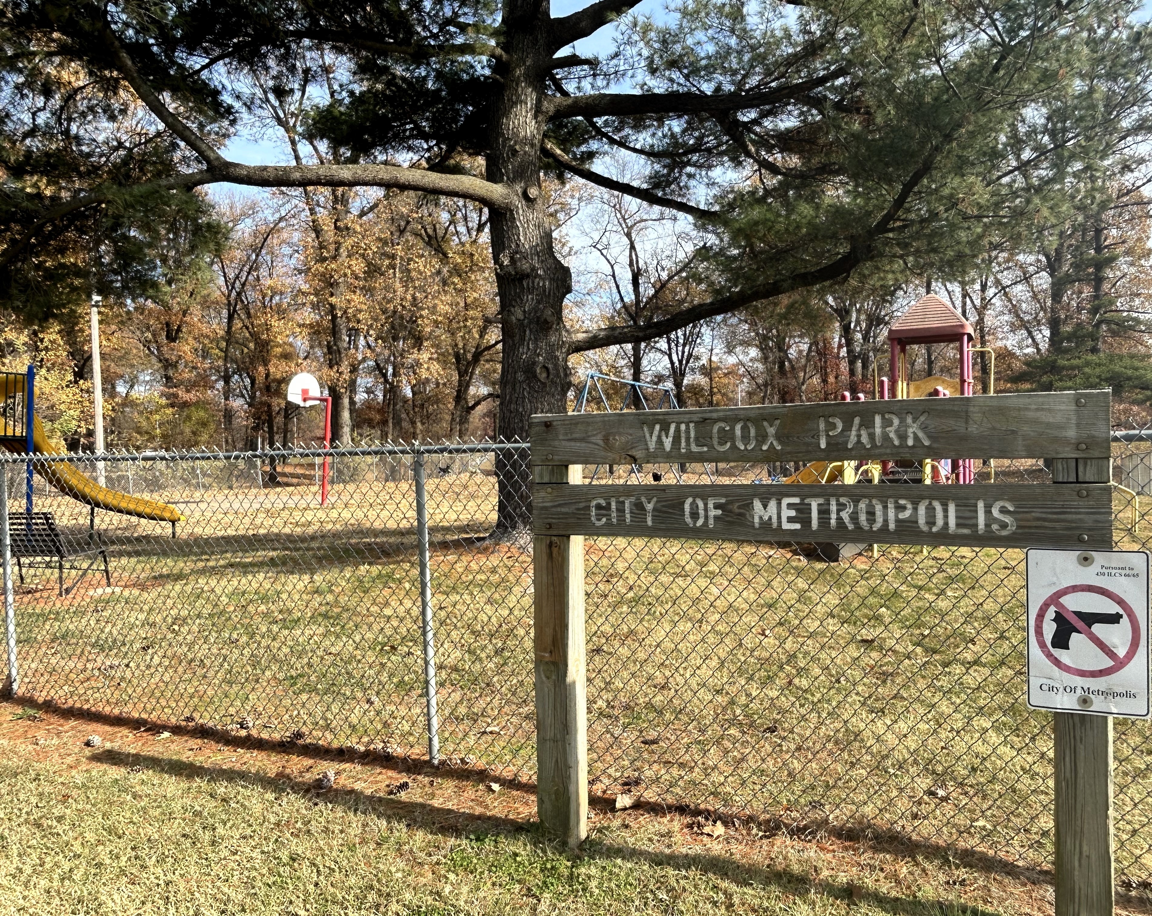 wilcox park picture