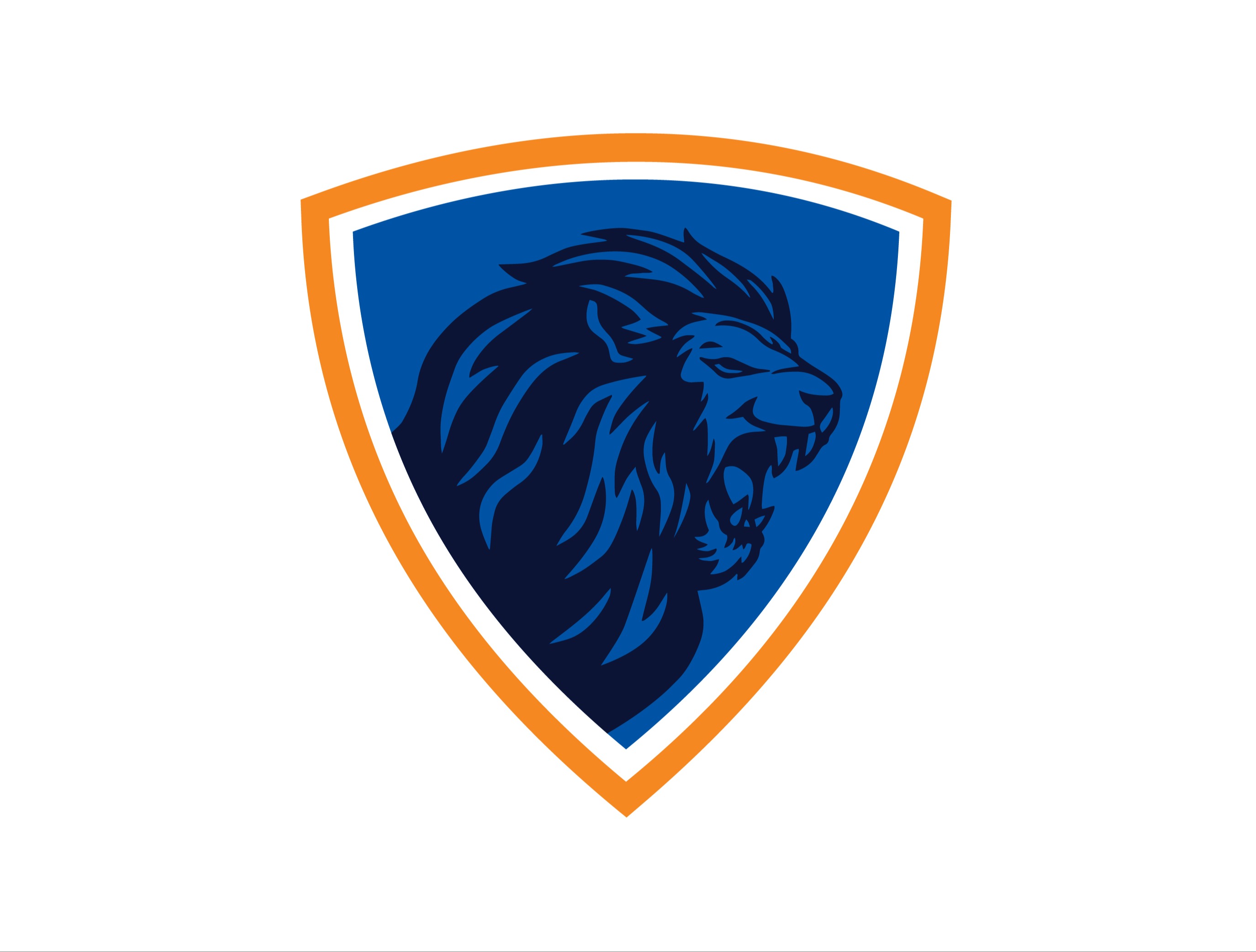 STEAM logo