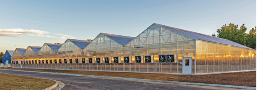 Green House