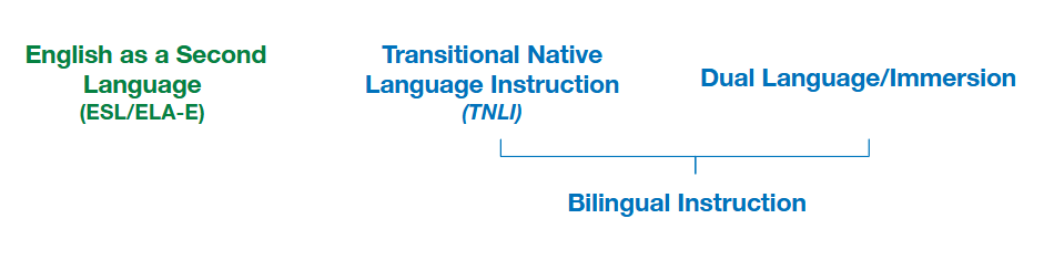 Transitional Native Language Instruction and Dual Immersion are grouped under the umbrella term Bilingual Instruction. An alternative to Bilingual Insturction is English as a Second Language support.