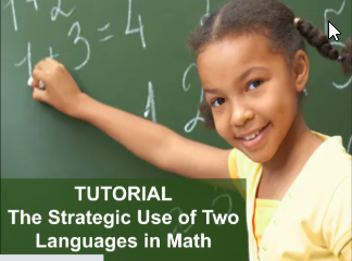 The Strategic Use of Two Languages in Math Tutorial