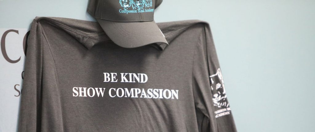 tshirt that says be kind