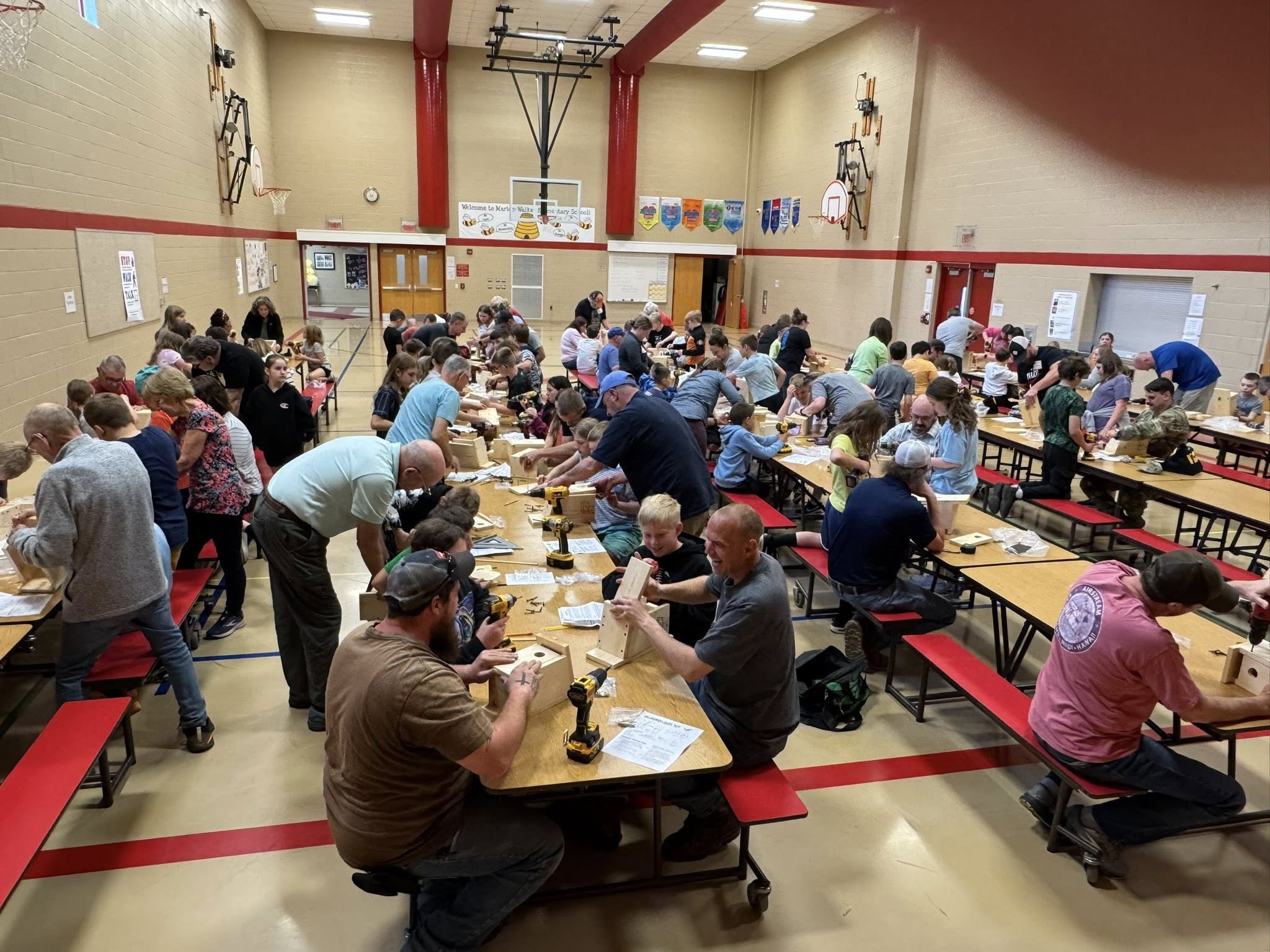bluebird box building