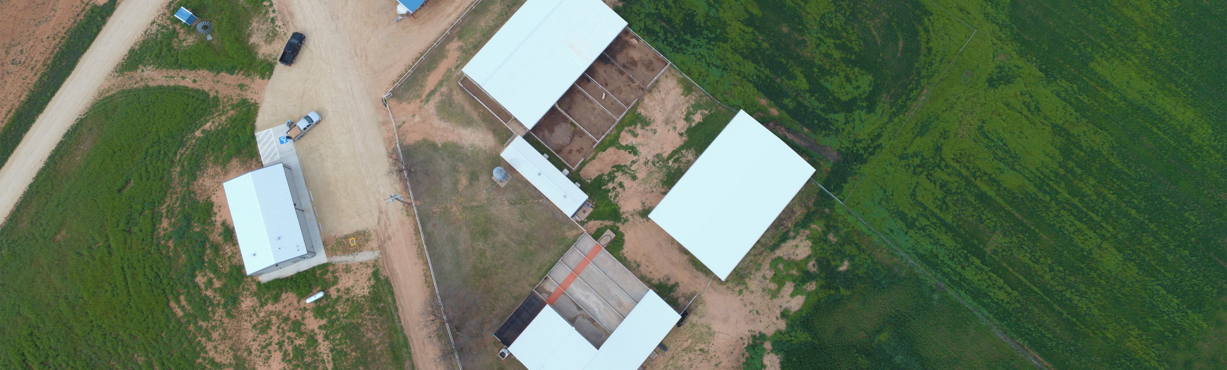 College Farm