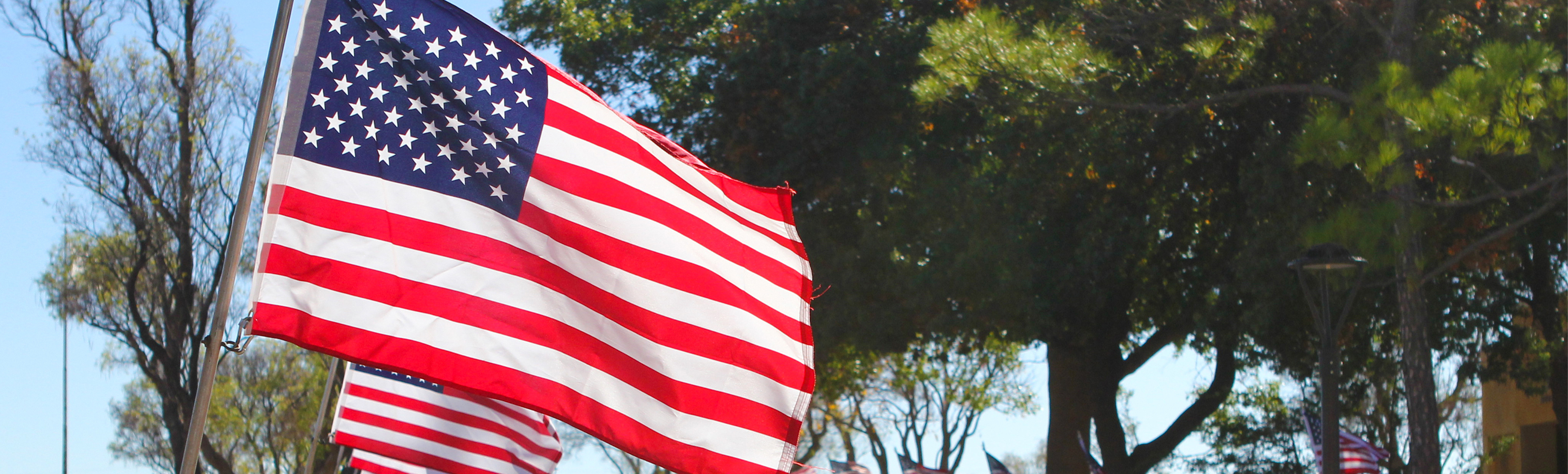 USA Flag waving in air