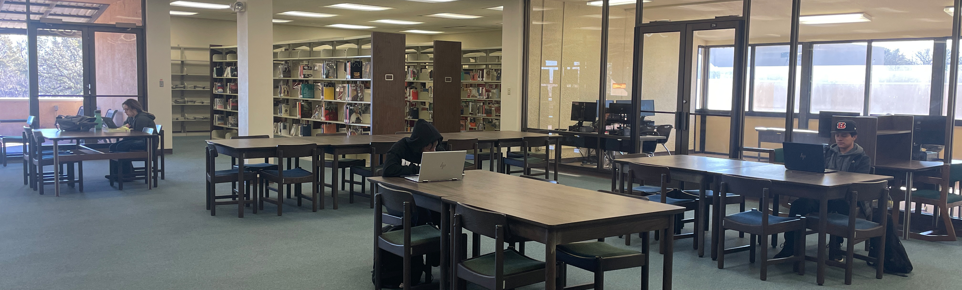 Students on laptops in library