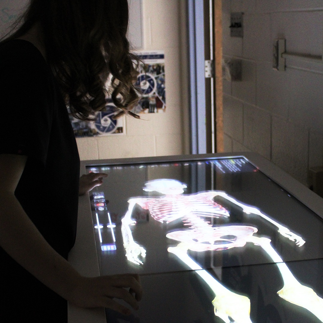 a healthcare student looking at the image of a skeleton on a medical table