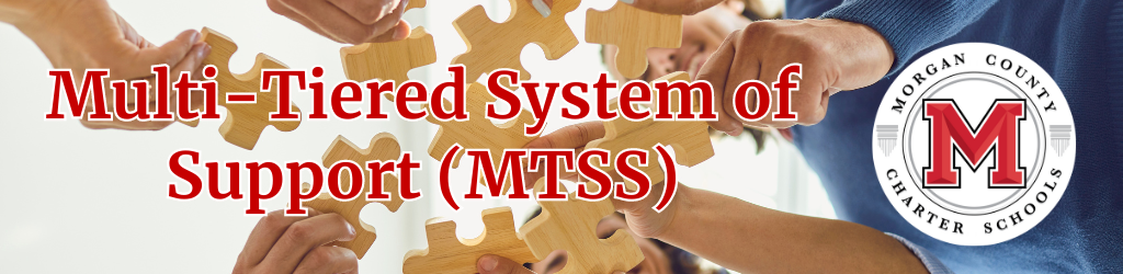 Multi-Tiered System of Support