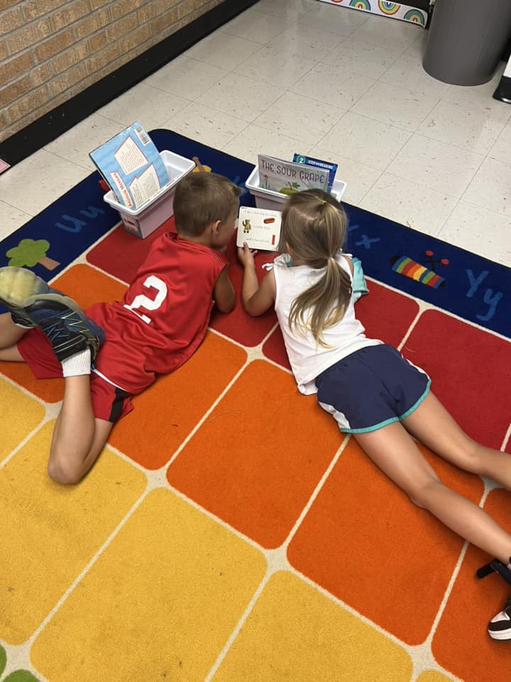 Partner Reading