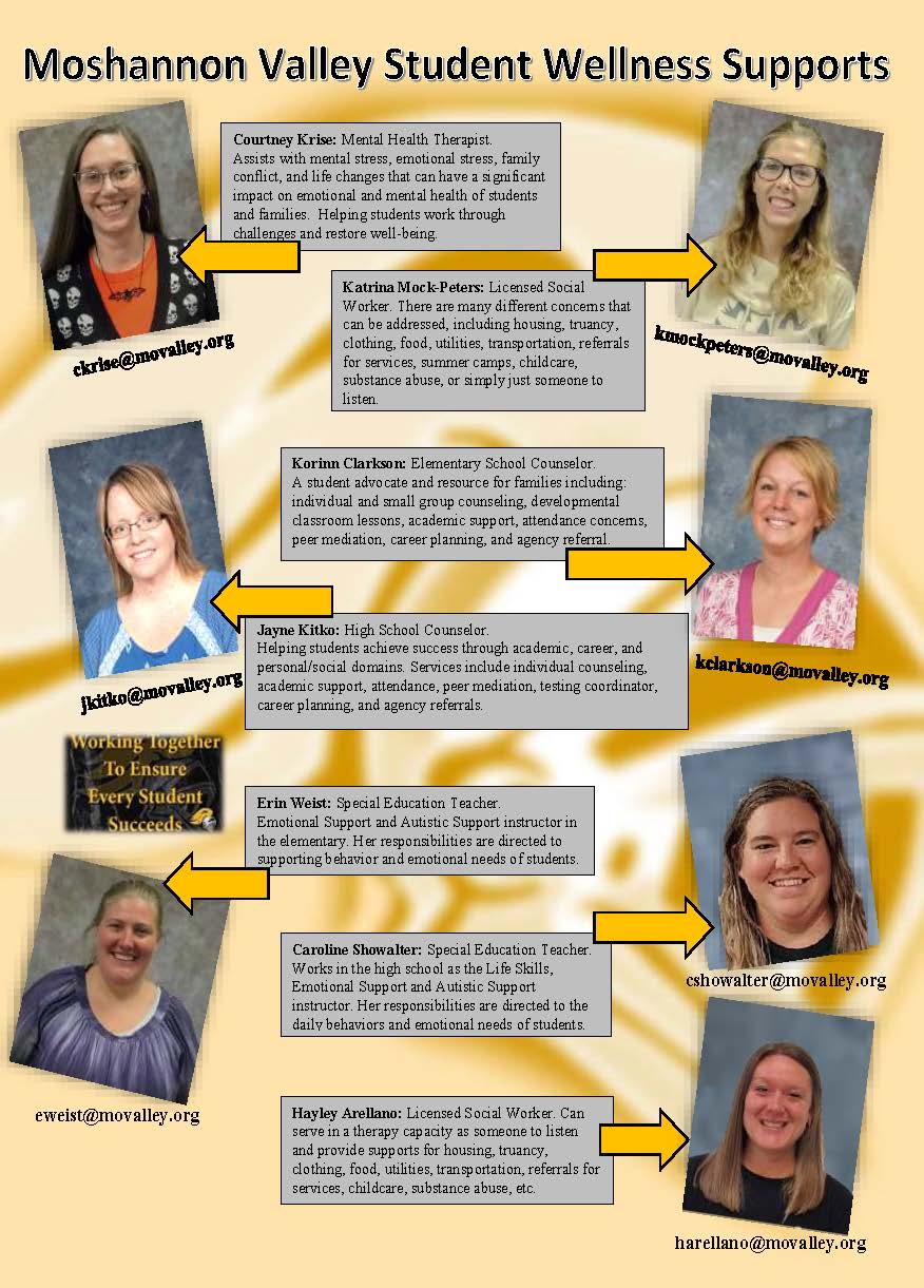 Social Work and Mental Health Support Workers