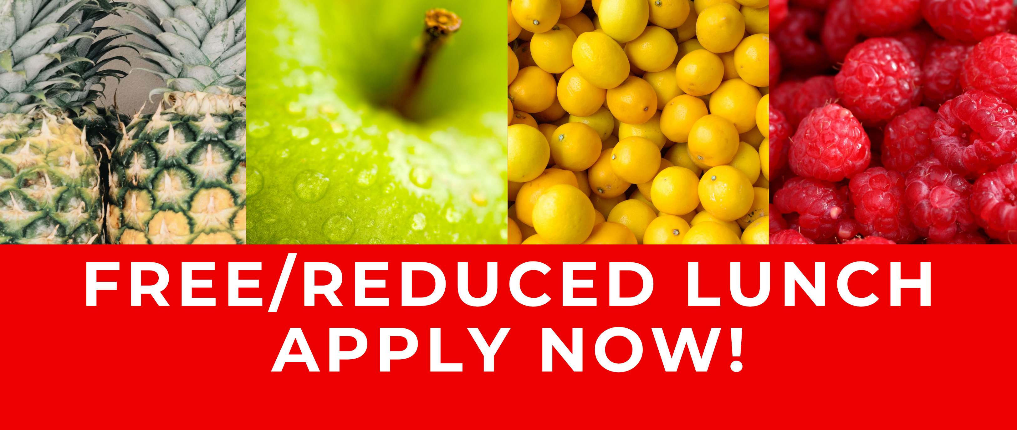 Apply for Free/Reduced Lunch