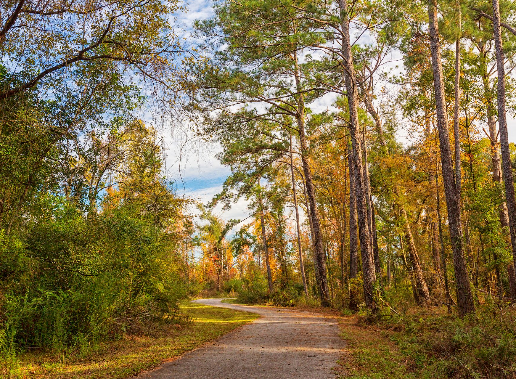 nature trail