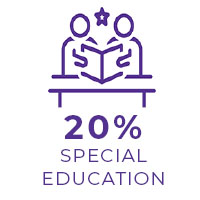 20% Special Education