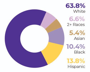 63% White | 6.6% 2+ Races | 5.4% Asian | 10.4% Black | 13.8% Hispanic