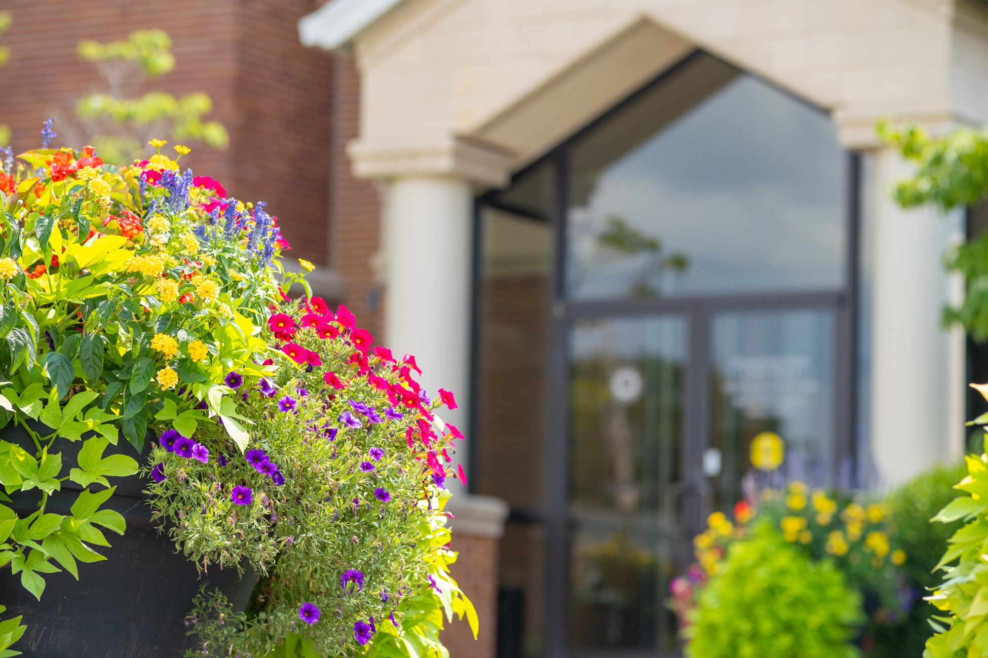 Flowers City Hall