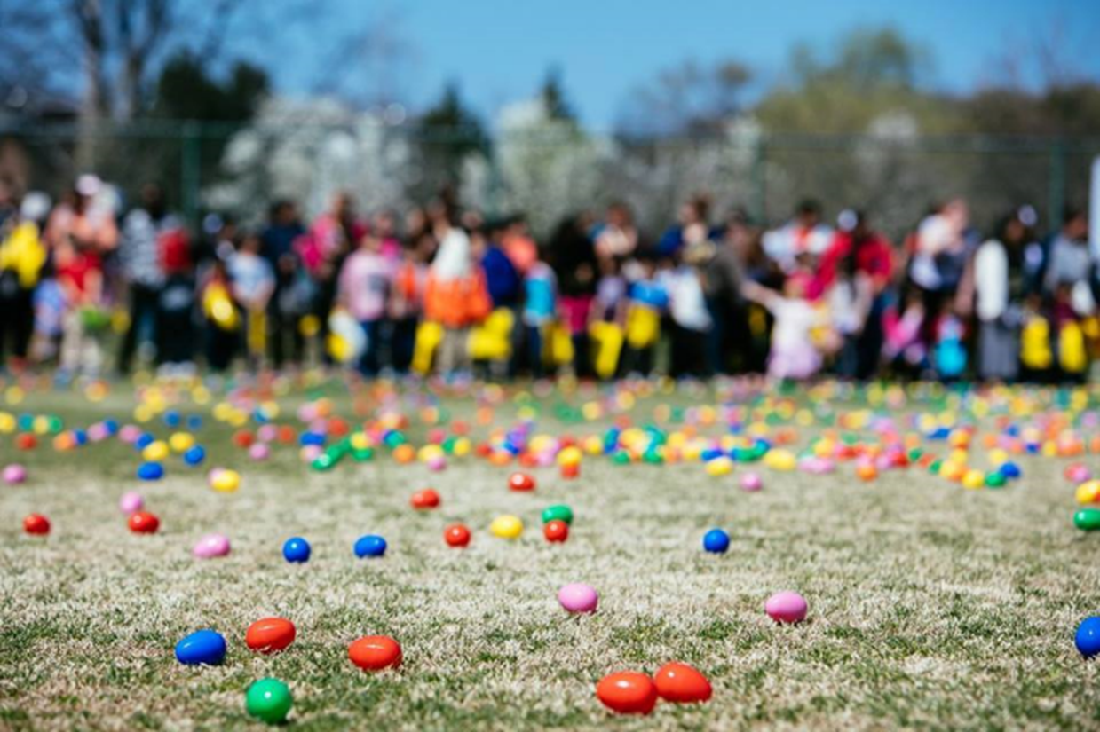 EASTER EGG HUNT