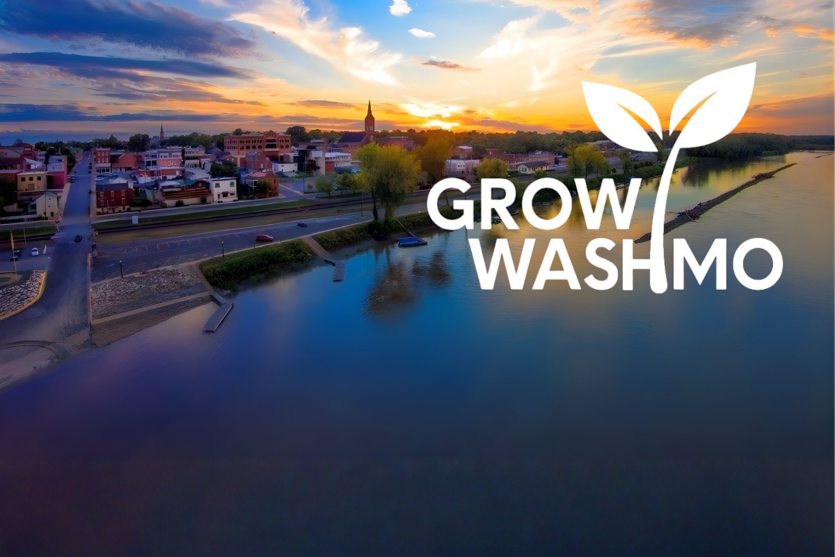Image of Skyline of with logo text "grow washmo" as a tagline for comprehensive plan
