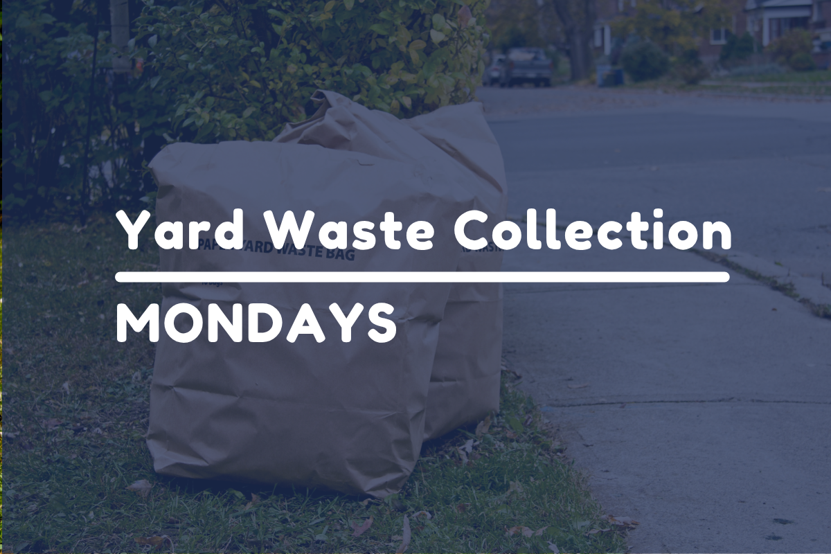 YArd Waste bags on Curb with text reading Yard Waste Collection Mondays