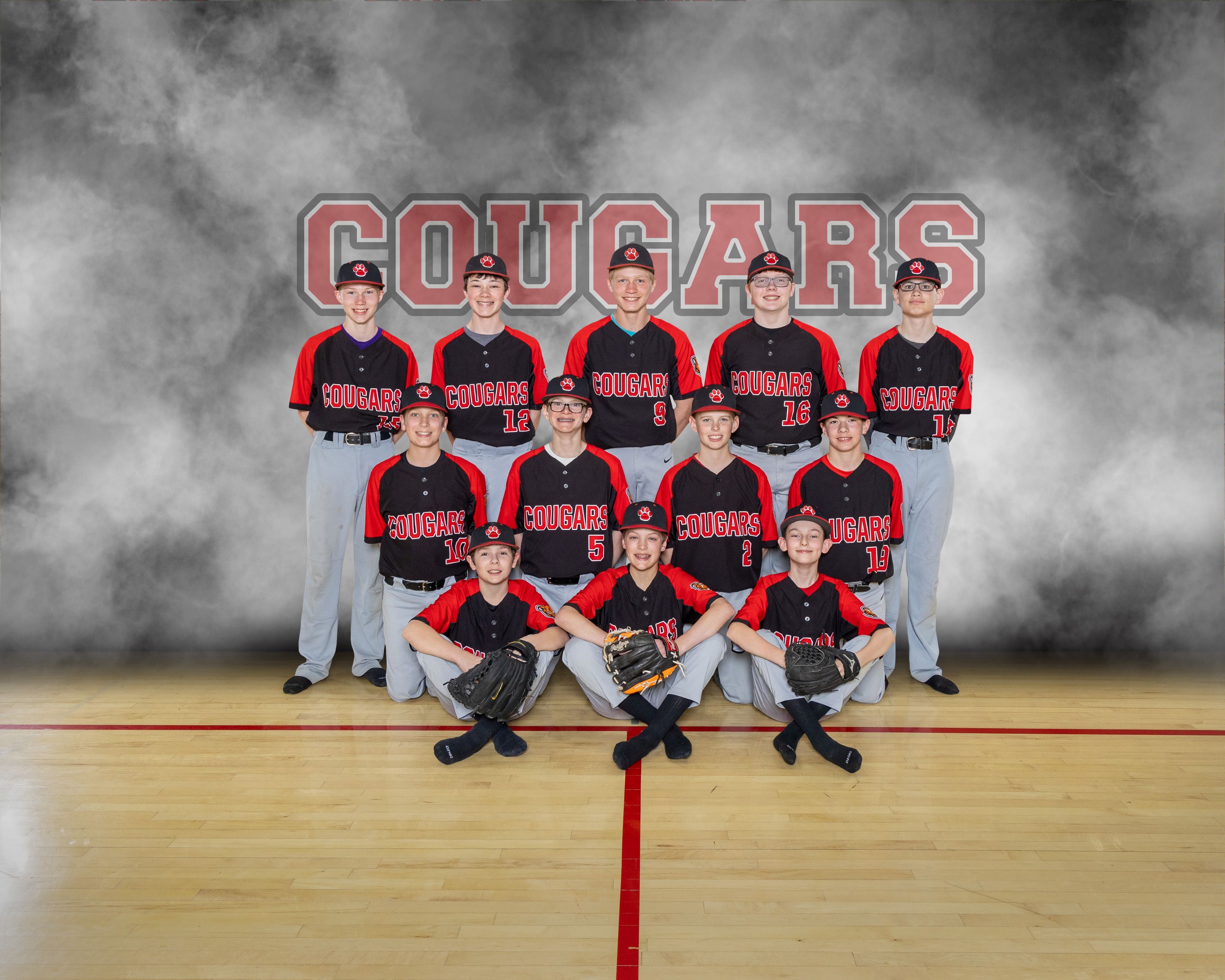 Junior High Baseball