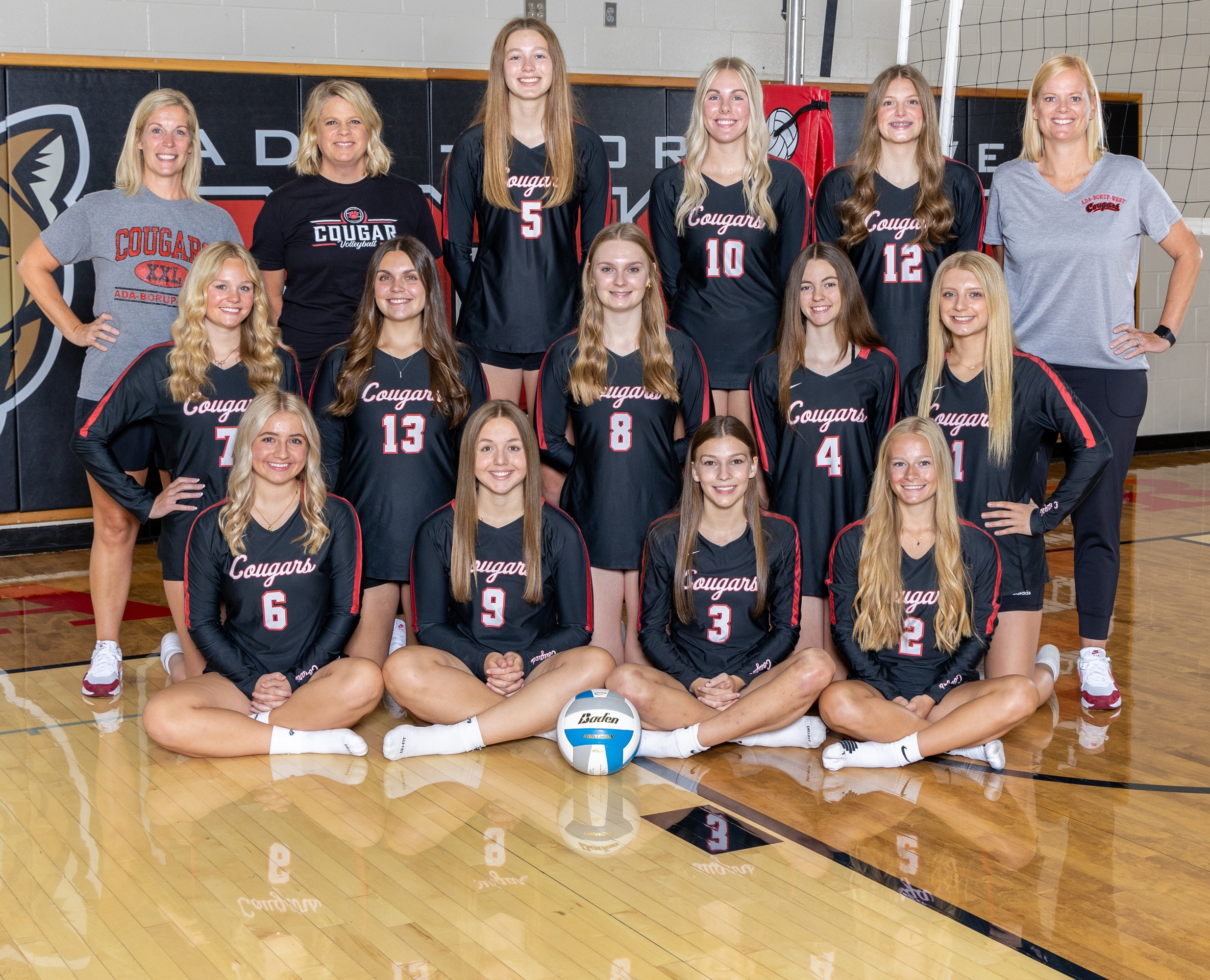 Volleyball