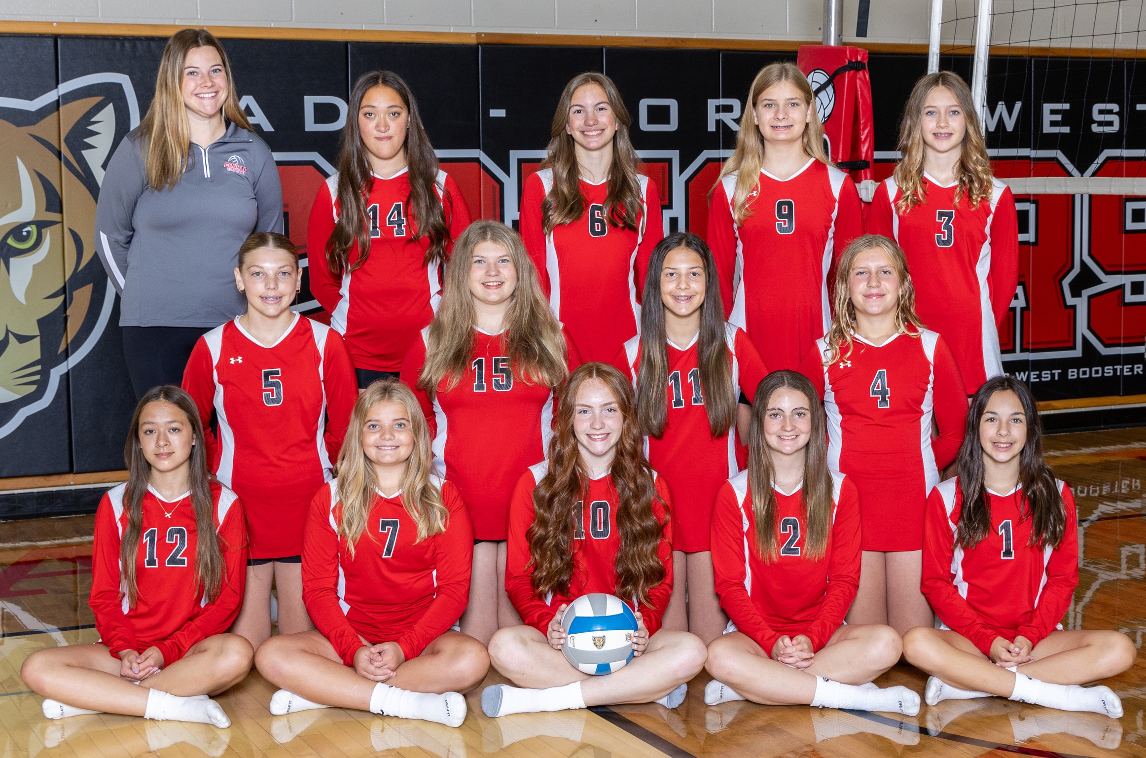 Volleyball