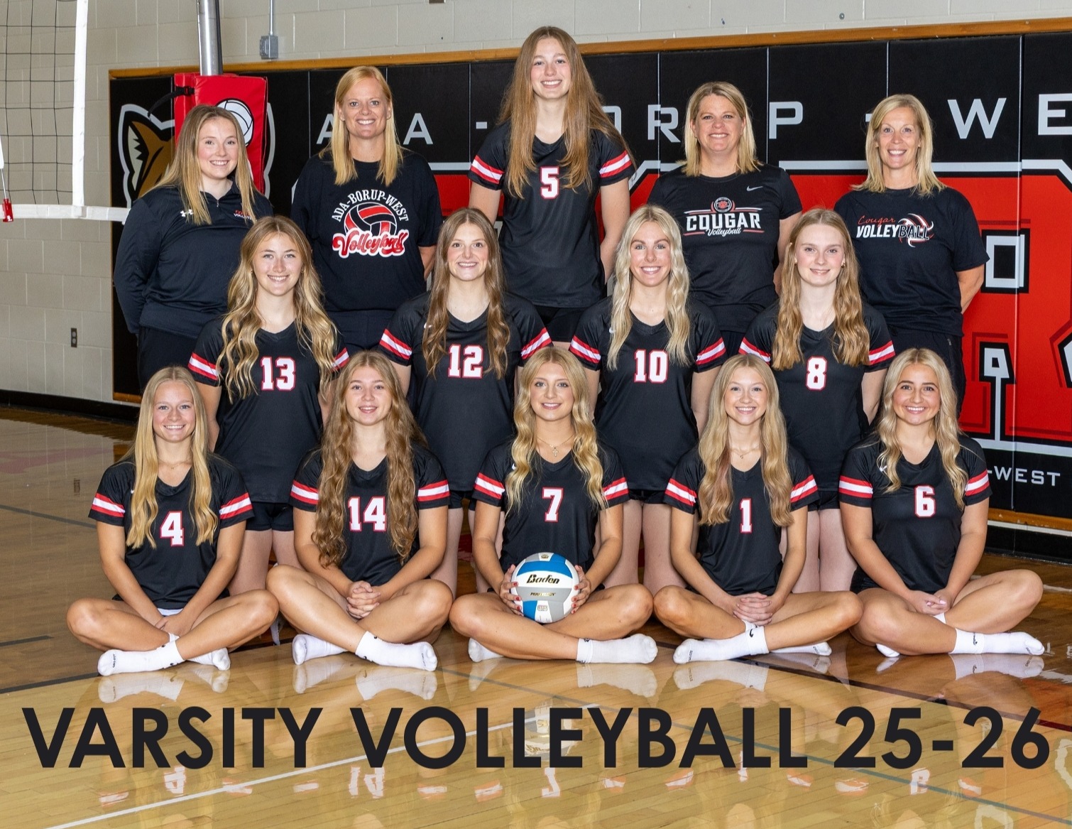 Volleyball