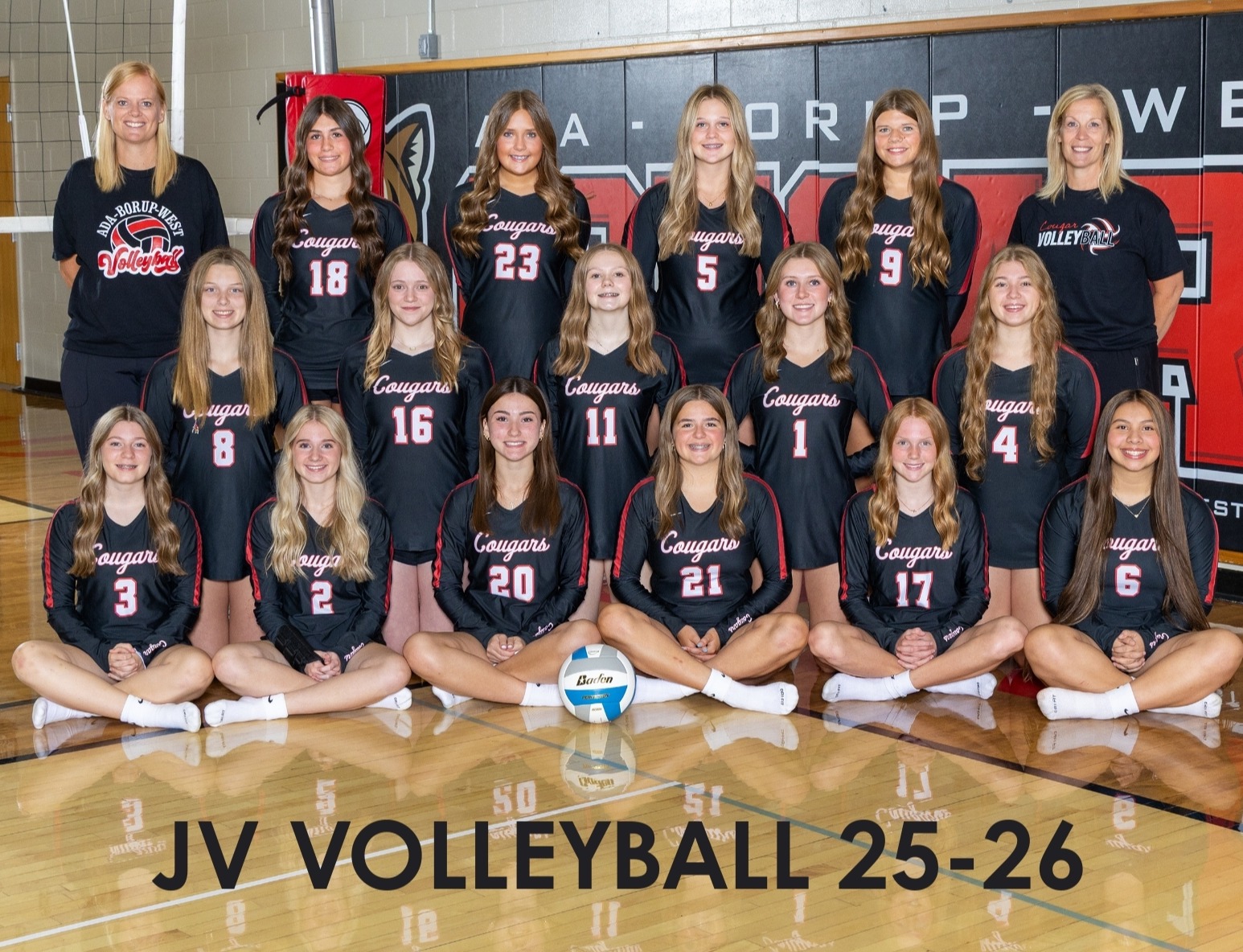Volleyball