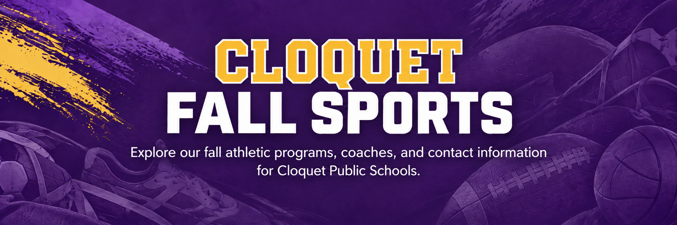 Falls Sports