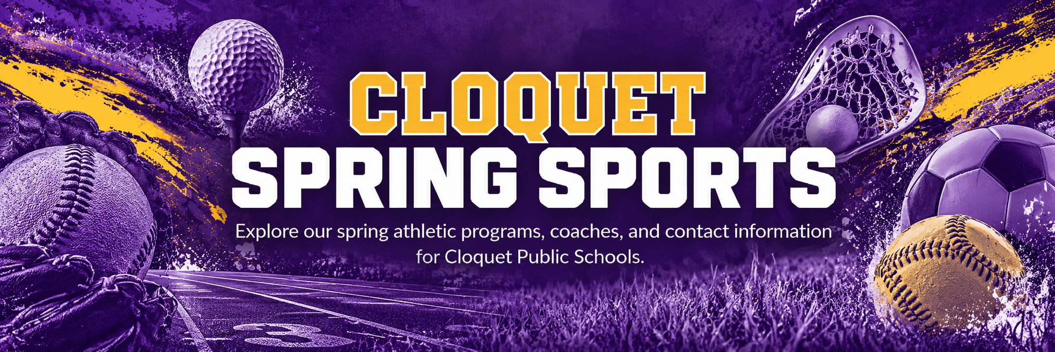 Spring Sports