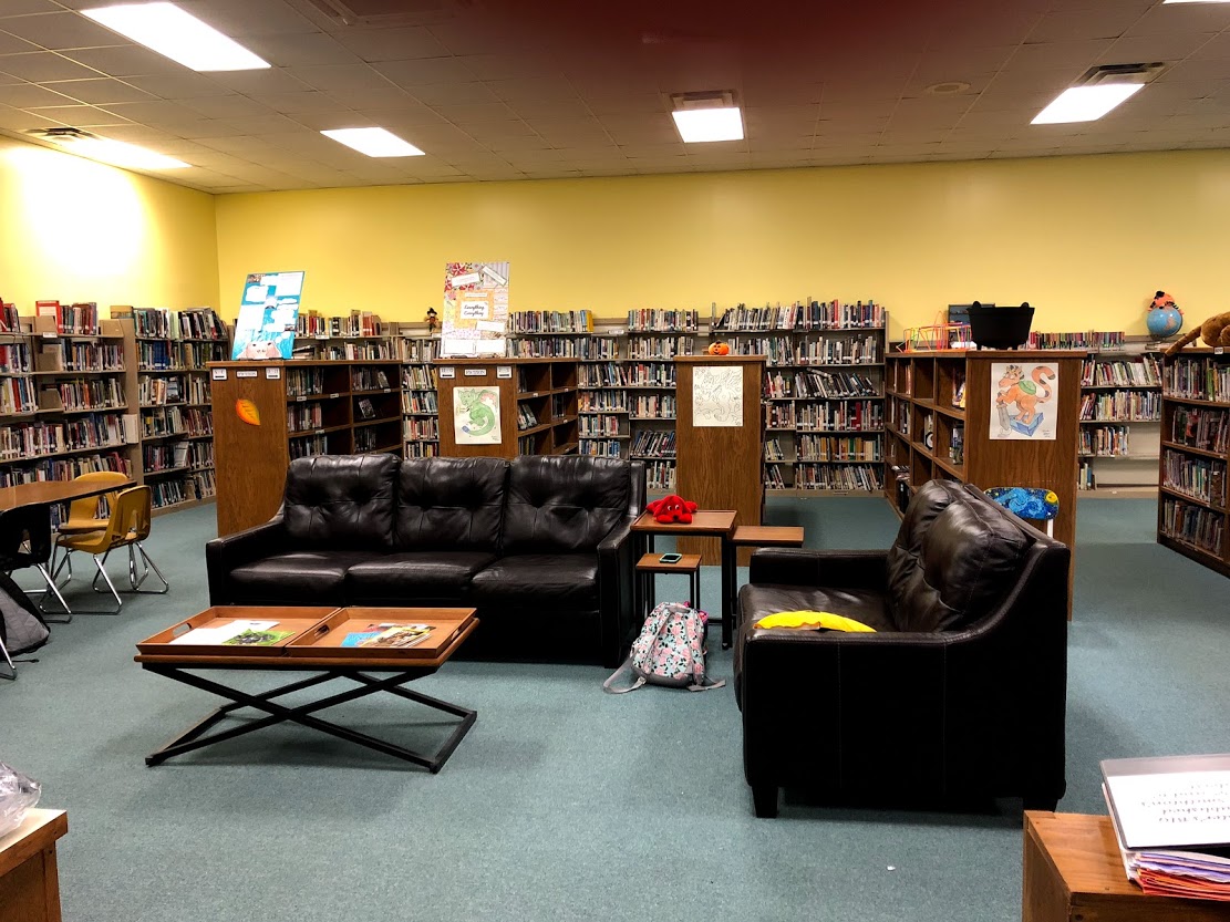 picture of the school library