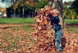 Kid playing with leaves