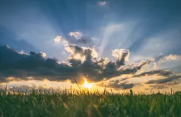 Landscape of green pastures 