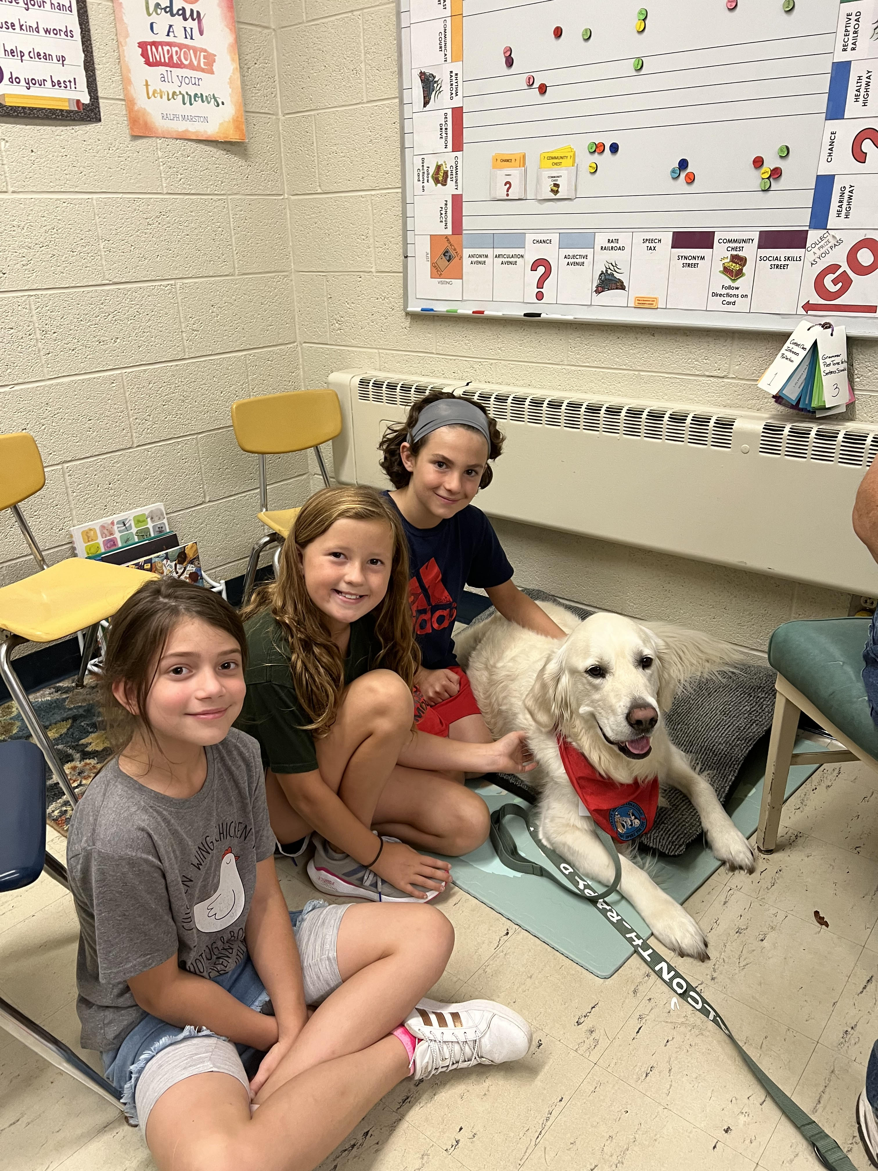 Therapy Dog