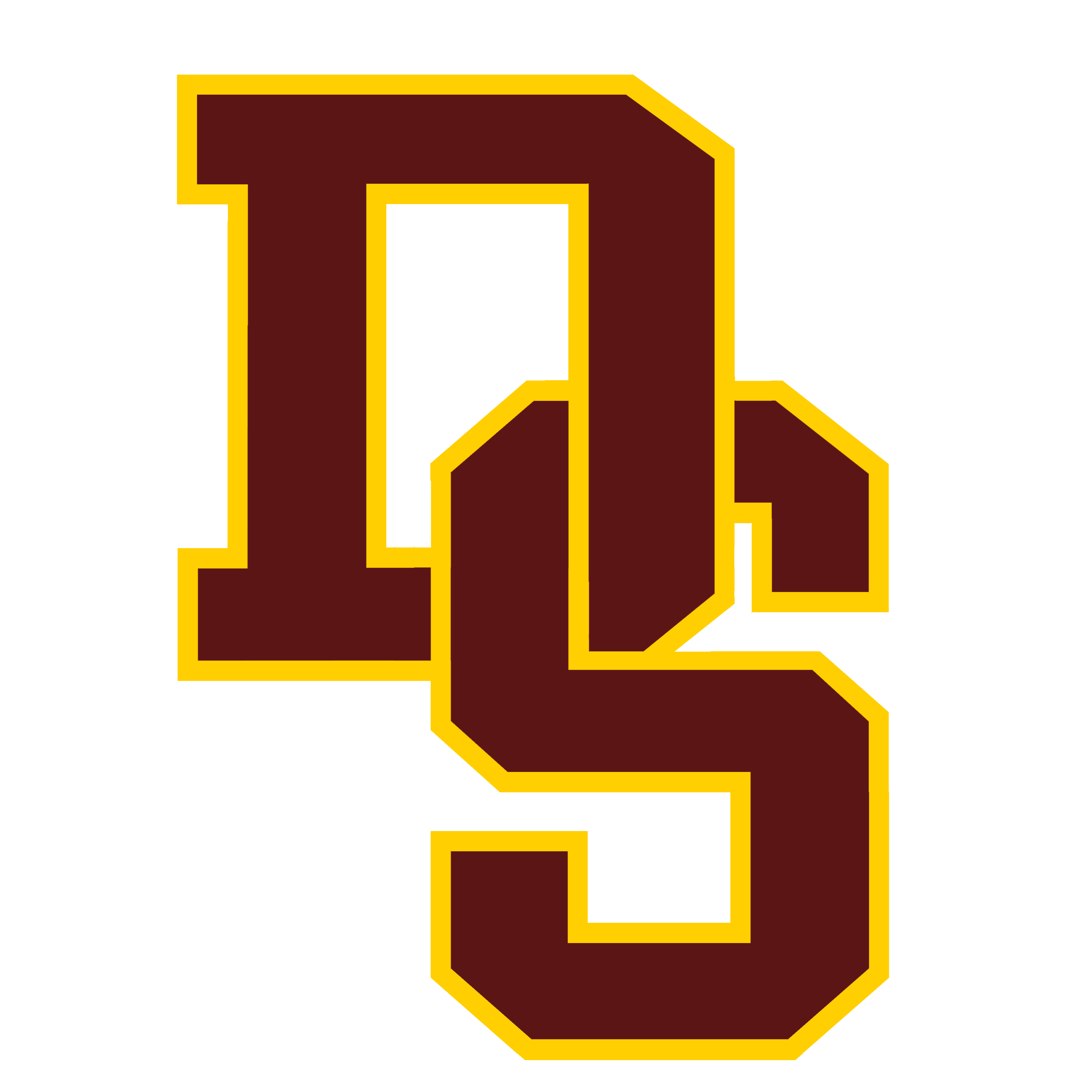 DSISD Logo