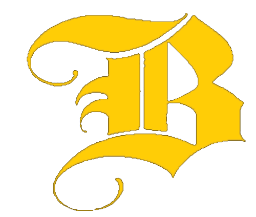 B logo for BRSD