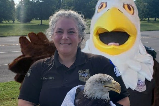 eagle and boardy