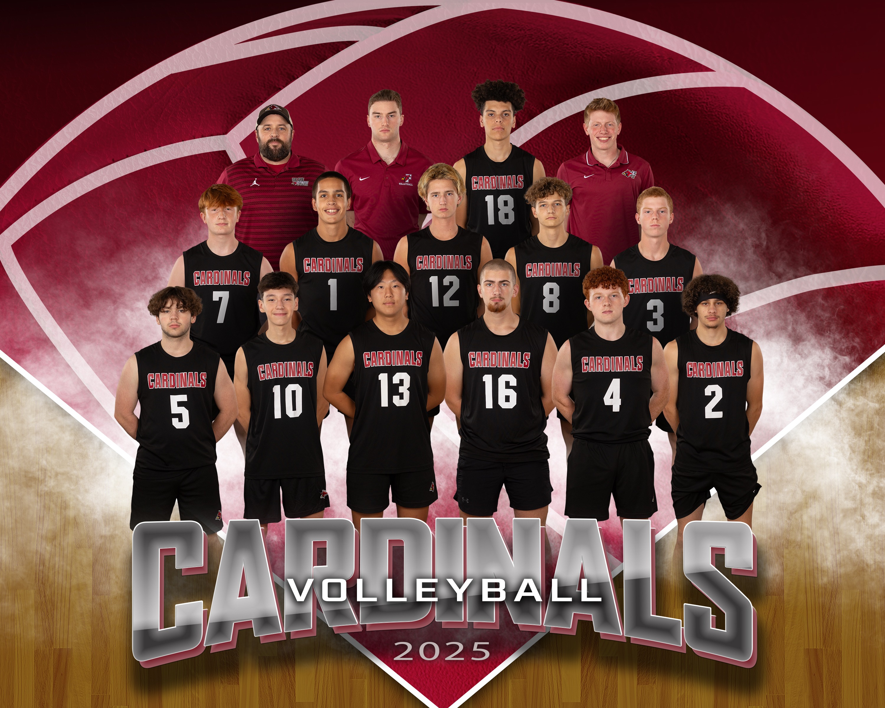 Boys Varsity Volleyball Team Picture