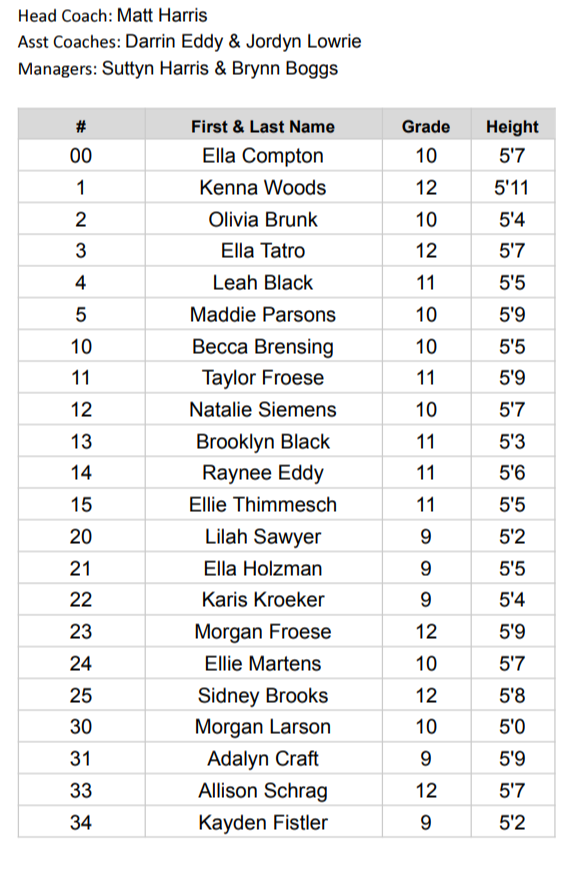 HS girls bb roster