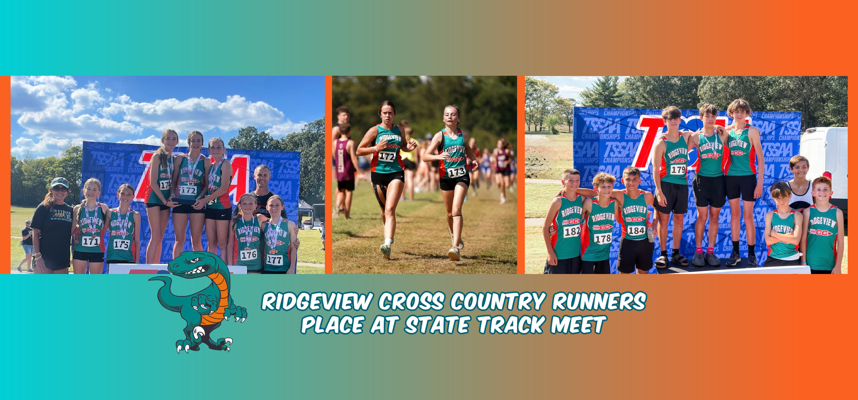 Ridgeview Track Teams