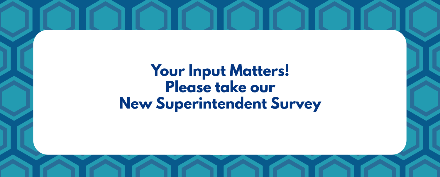 New superintendent survey